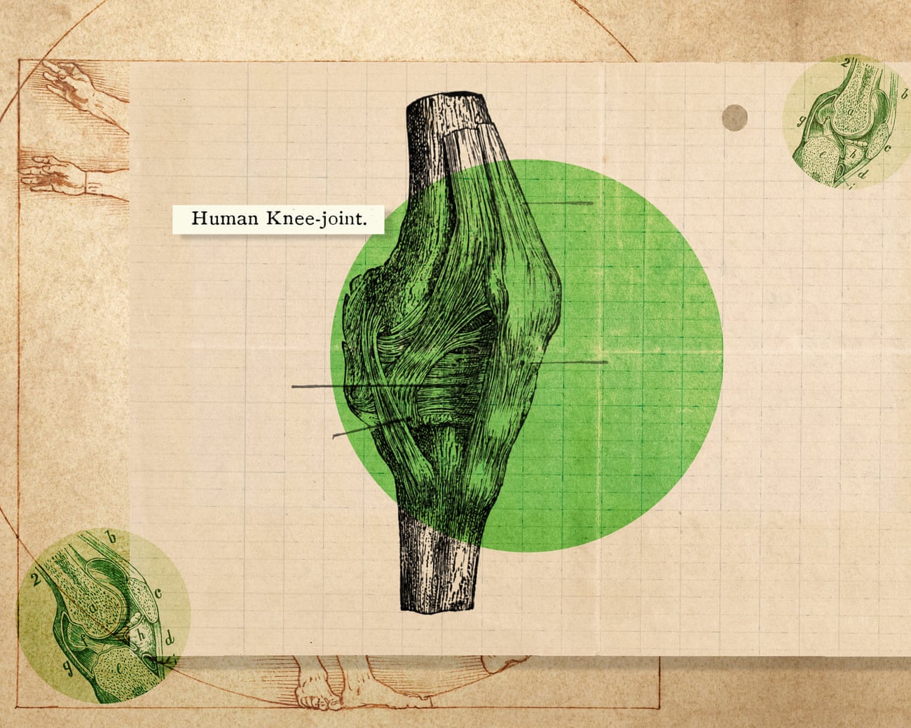 ‘They don’t have a nice socket structure’: how to really look after your knees